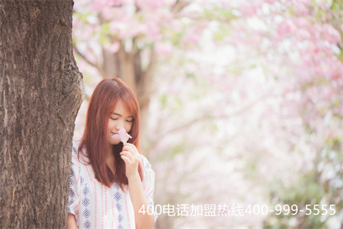 (聊城400電話查詢)(400電話安裝方法)