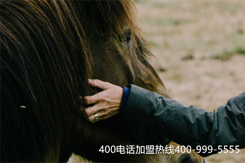 (400電話業(yè)務的服務機構)(400電話號碼選號技巧介紹)
