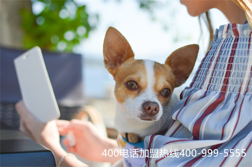 (400電話如何辦理)(城市便捷400電話)